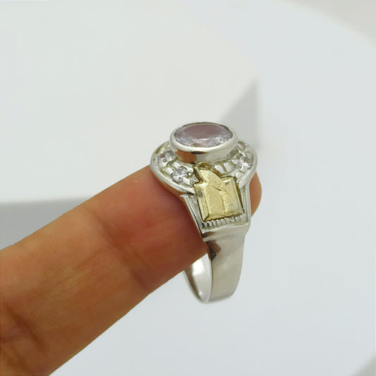 Anillo de Grados en Plata y Oro