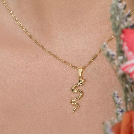 23130N - D Serpiente Negro