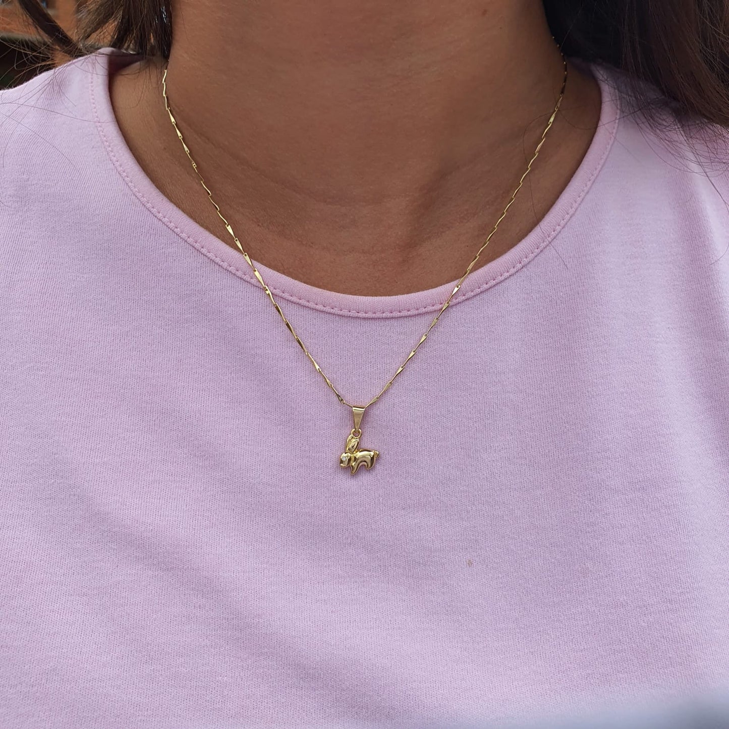 23187 - Dije Rabbit 💎ᴠɪᴘ