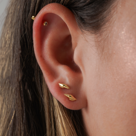 34219 - Topitos Shell