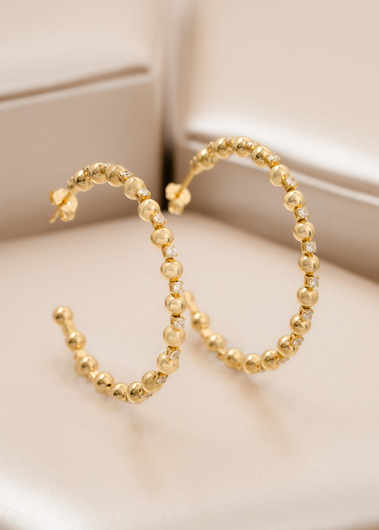 34223 - Candonga Evolution