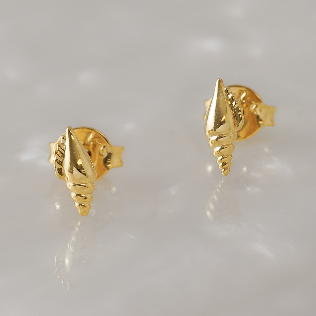 34219 - Topitos Shell