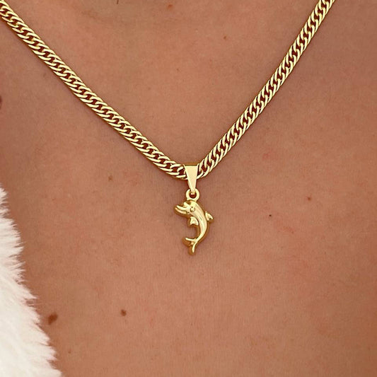 23198 - Dije Dolphin 💎ᴠɪᴘ