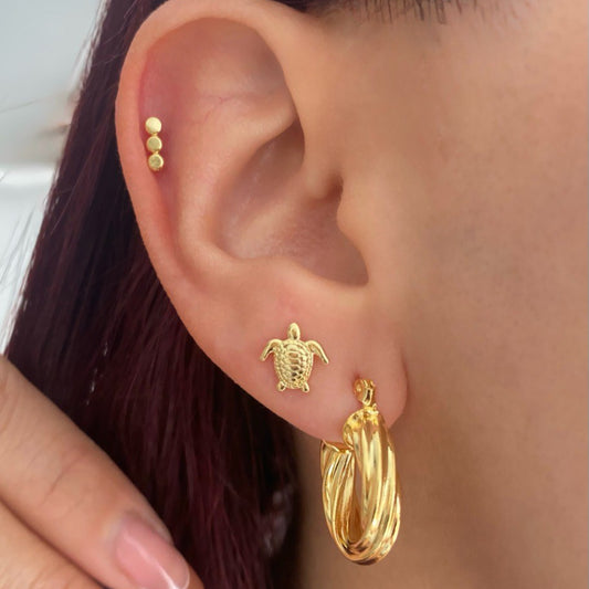 34162 - Topitos Turtle 💎ᴠɪᴘ