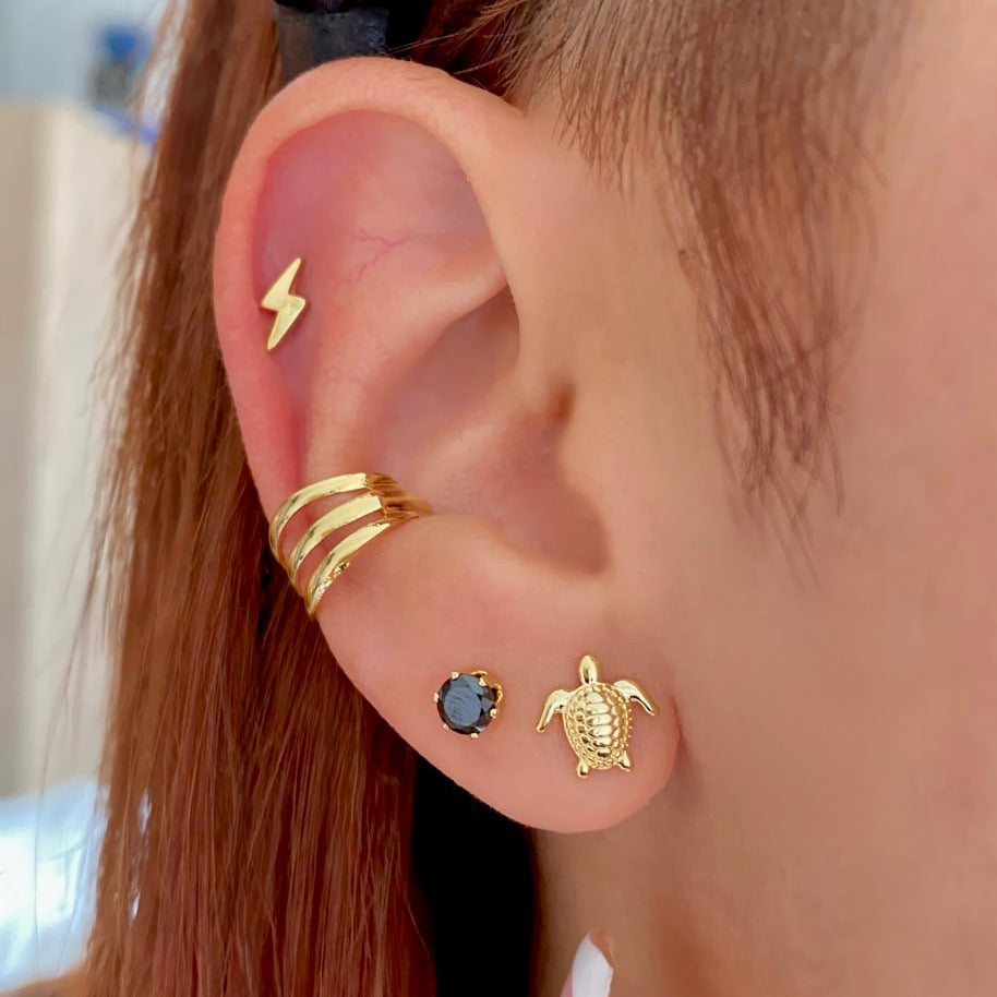 34162 - Topitos Turtle 💎ᴠɪᴘ