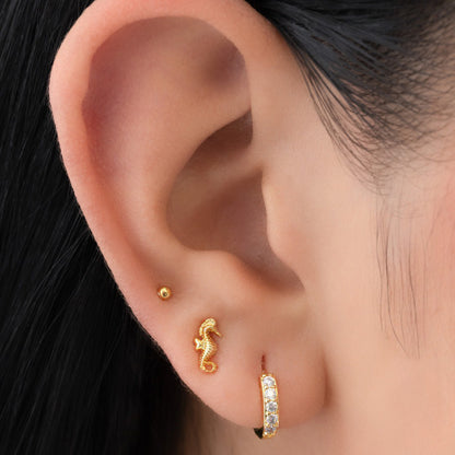 34209 - Topitos Caballito de Mar