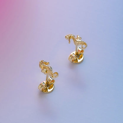 34209 - Topitos Caballito de Mar