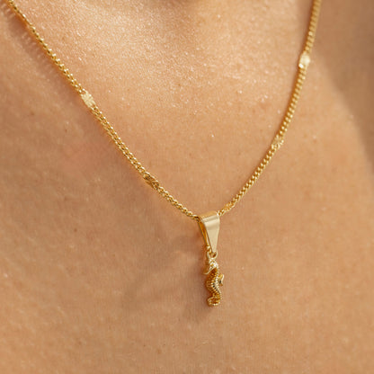 23259 - Dije Caballo de Mar