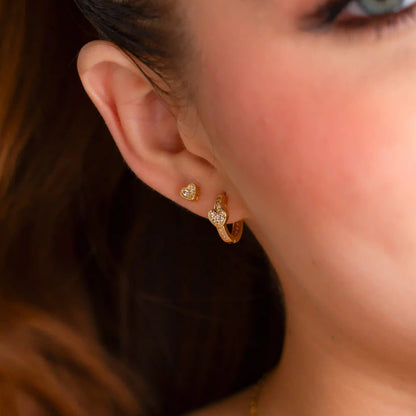 34281 - Candonga Love Whisper