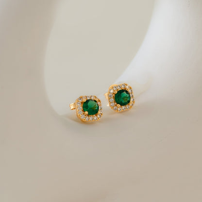 34276V - Topitos Dynasty Verde