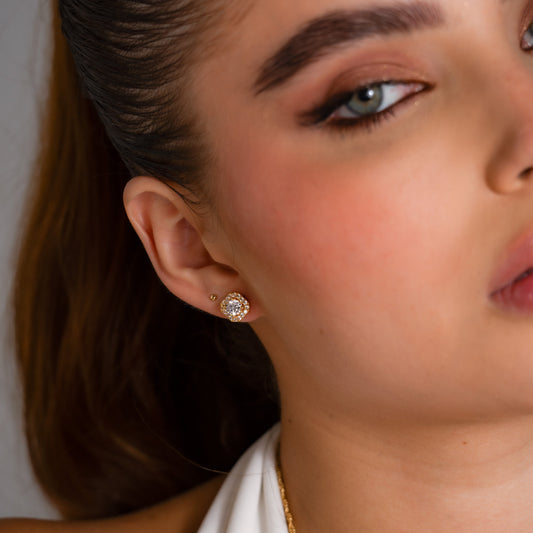 34276C - Topitos Dynasty