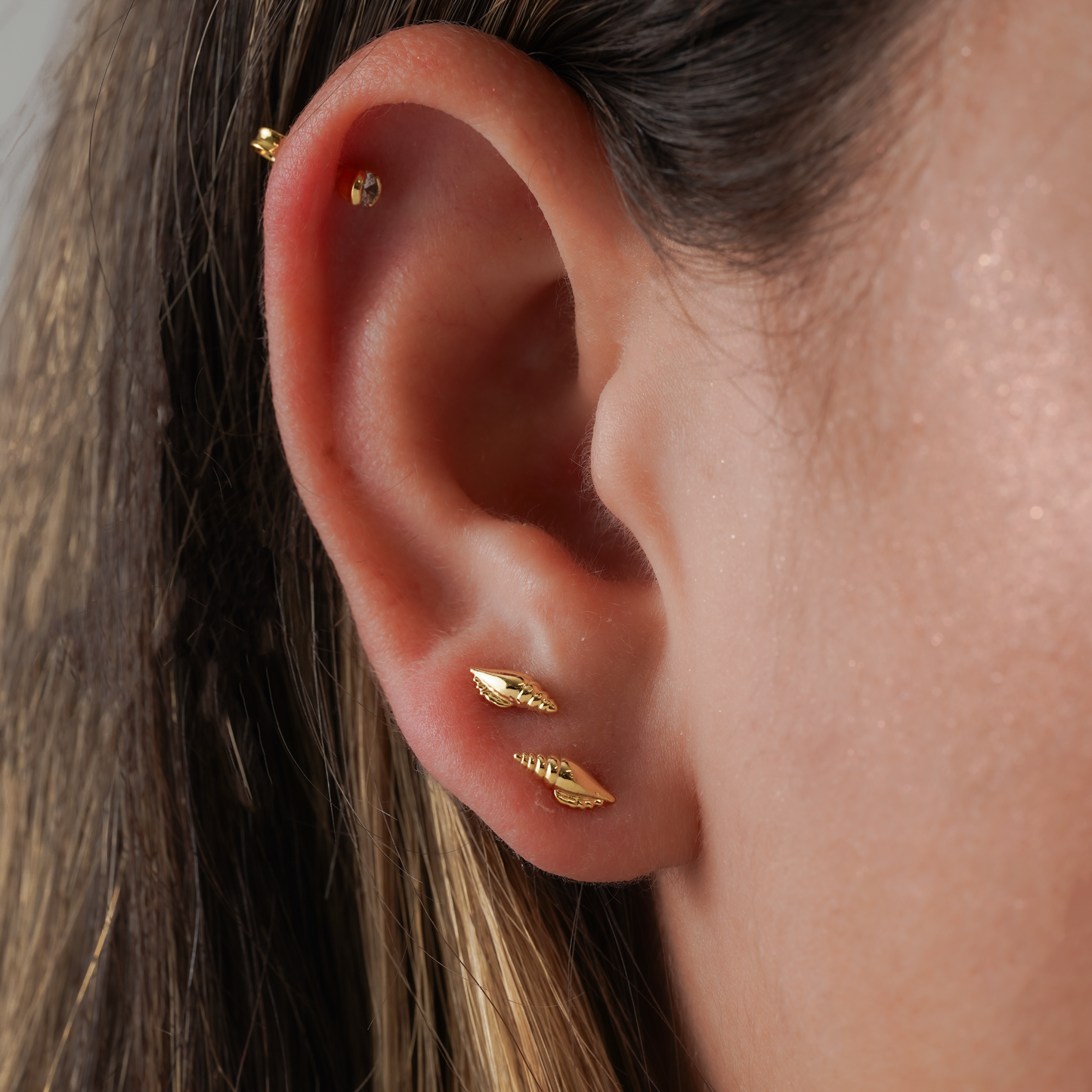 34219 - Topitos Shell