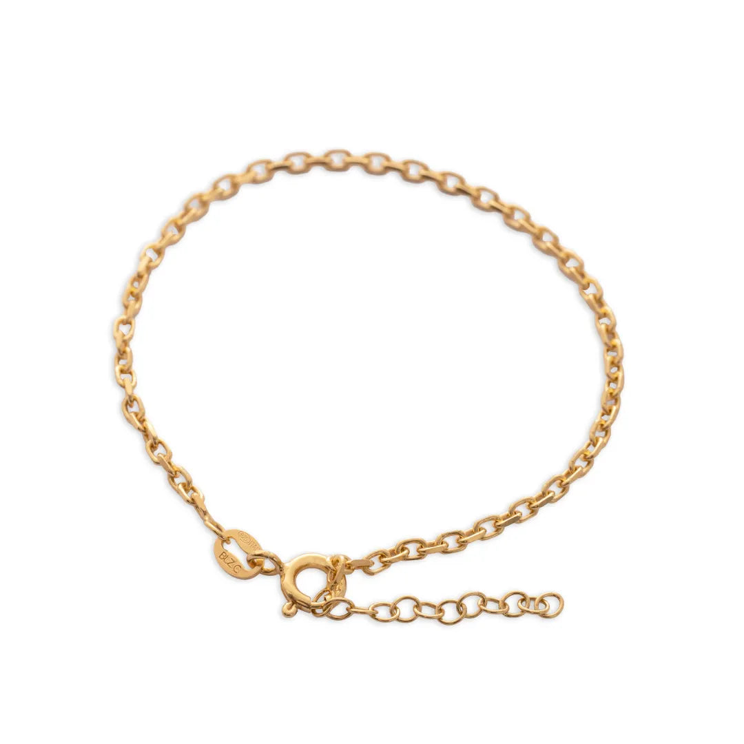 JIT55031 - P Aros IT 2 mm 15.5 Cms + Ext