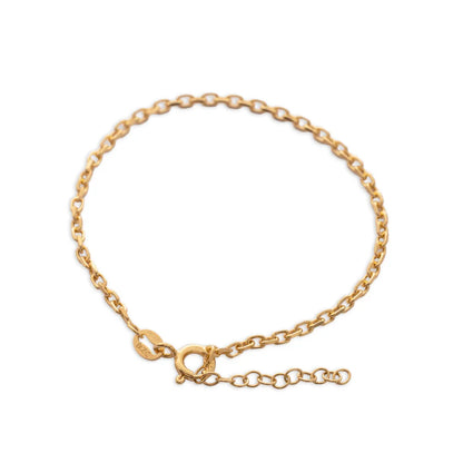 JIT55031 - P Aros IT 2 mm 15.5 Cms + Ext