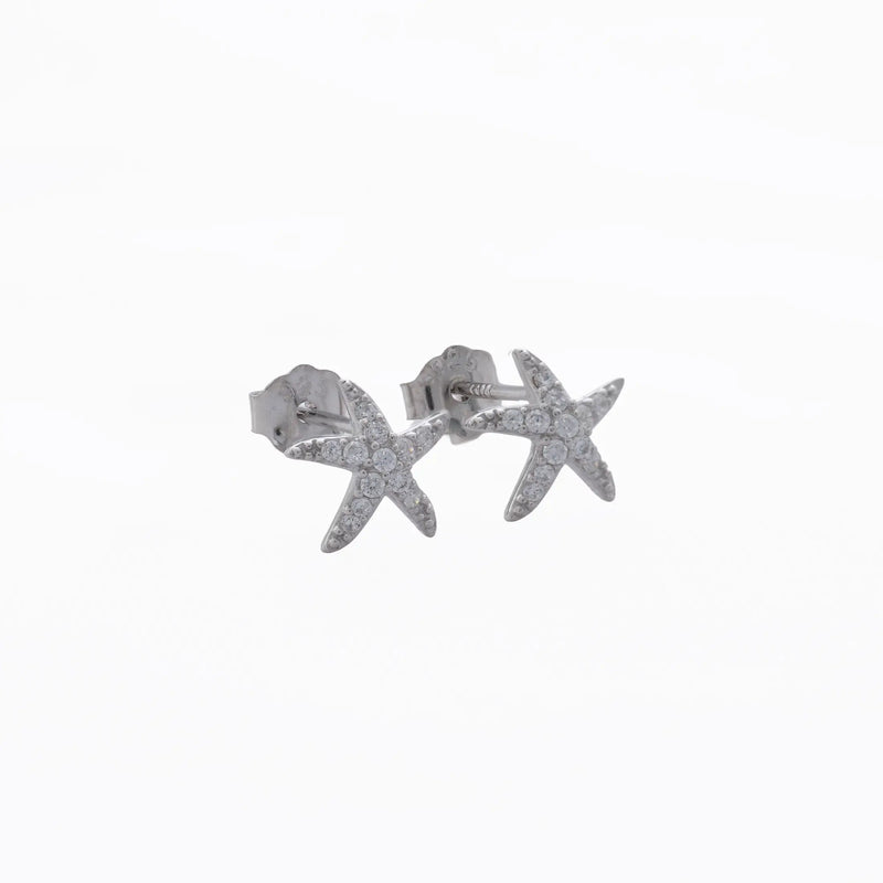 JP30026 - A Topito Estrella de mar con Circones