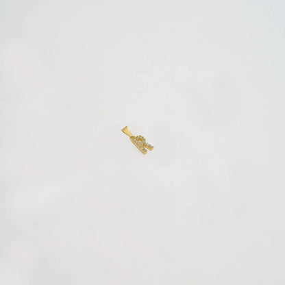 23370R - Dije Silueta Letra R Mediana Con Circones