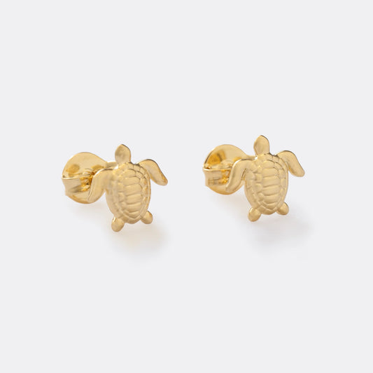 34162 - Topitos Turtle 💎ᴠɪᴘ