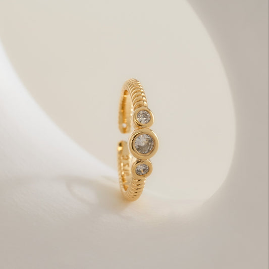 13052 - Anillo Royalty Ajustable