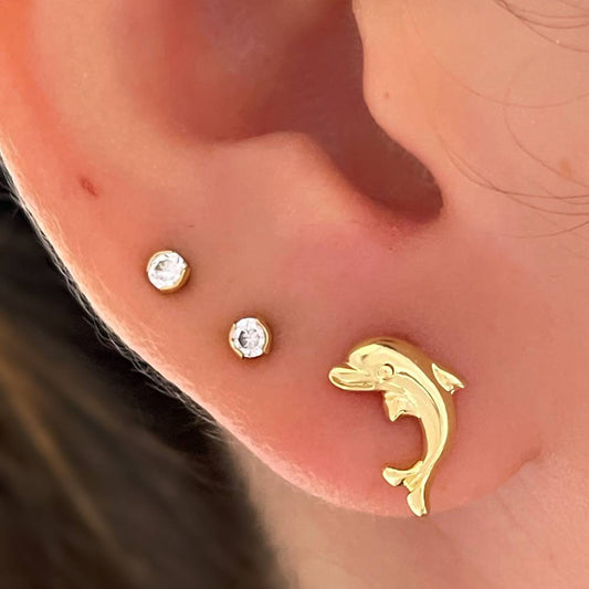 34144 - Topitos Dolphin 💎ᴠɪᴘ