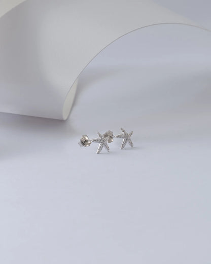 JP30026 - A Topito Estrella de mar con Circones